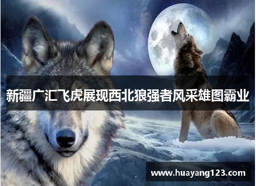 新疆广汇飞虎展现西北狼强者风采雄图霸业